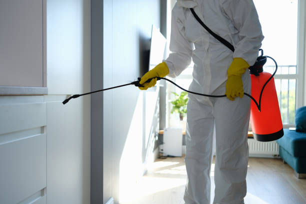 Why You Should Choose Our Mold Remediation Services in Fort Belvoir, VA